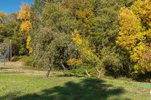 4027 Azalea Dr, Grants Pass, OR 97526 - Photo 54