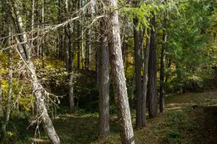 4027 Azalea Dr, Grants Pass, OR 97526 - Photo 34