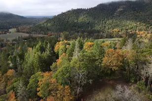 427 Murphy Gulch Rd, Rogue River, OR 97537 - Photo 32