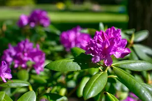 18575 SW Century Dr, Bend, OR 97702 - Photo 18