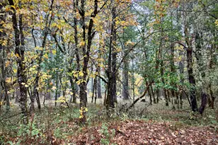 3115 Rockydale Rd, Cave Junction, OR 97523 - Photo 22