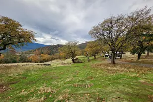 1652 China Gulch Rd, Jacksonville, OR 97530 - Photo 34