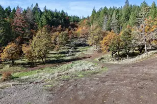 5015 Hwy 227, Trail, OR 97541 - Photo 48