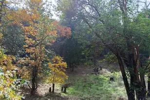 297 Melissa Ln, Grants Pass, OR 97526 - Photo 20