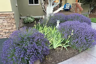 179 Highland Meadow Loop, Redmond, OR 97756 - Photo 6