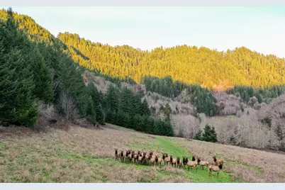 27277 Lower Smith River Road, Reedsport, OR 97467 - Photo 62