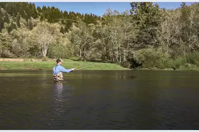 27277 Lower Smith River Road, Reedsport, OR 97467 - Photo 8