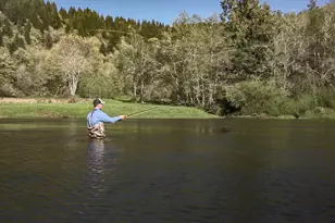 27277 Lower Smith River Rd, Reedsport, OR 97467 - Photo 8