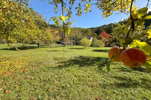 27277 Lower Smith River Rd, Reedsport, OR 97467 - Photo 36