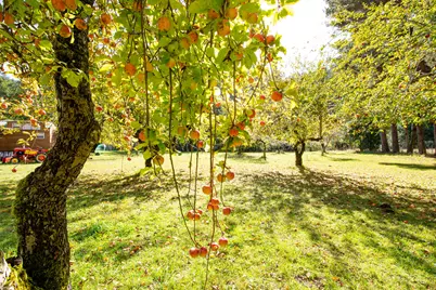 27277 Lower Smith River Road, Reedsport, OR 97467 - Photo 40