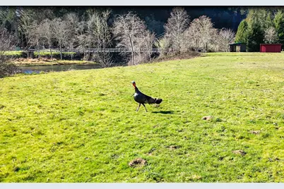 27277 Lower Smith River Road, Reedsport, OR 97467 - Photo 64