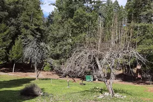 4280 Lower Wolf Creek Rd, Wolf Creek, OR 97497 - Photo 22