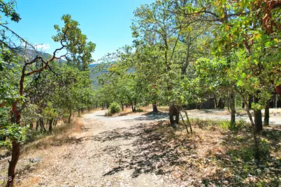 812 Left Fork Humbug Creek Road, Applegate, OR 97530 - Photo 44