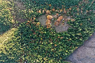 1480 Bridge Ln, Wolf Creek, OR 97497 - Photo 8