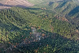 2150 Bridge Ln, Wolf Creek, OR 97497 - Photo 42