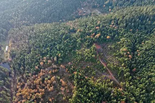 1480 Bridge Ln, Wolf Creek, OR 97497 - Photo 46