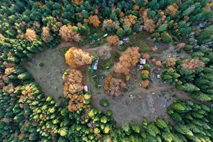 1480 Bridge Ln, Wolf Creek, OR 97497 - Photo 58