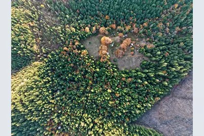 1480 Bridge Lane, Wolf Creek, OR 97497 - Photo 54