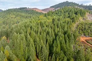 1871 McCullough Creek Rd, Glendale, OR 97442 - Photo 36