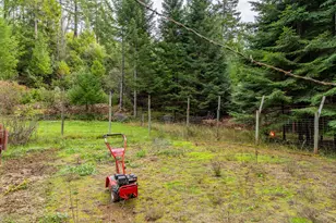 1871 McCullough Creek Rd, Glendale, OR 97442 - Photo 10