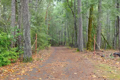 36793 Redwood Highway, Cave Junction, OR 97523 - Photo 60