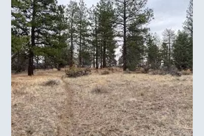 0 Widgeon, Bonanza, OR 97623 - Photo 2