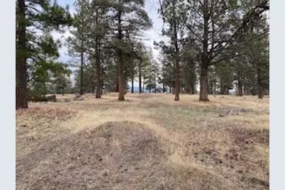 0 Widgeon, Bonanza, OR 97623 - Photo 1