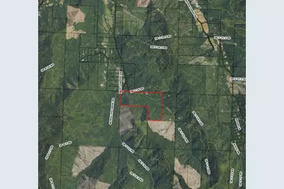 601 McMullen Creek Road, Selma, OR 97538 - Photo 30