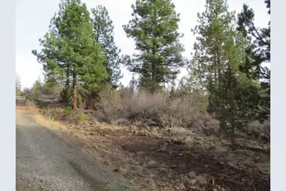 0 Polar Bear Lane #Lot 3, Bonanza, OR 97623 - Photo 4
