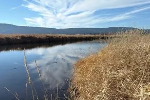 29630 Clearwater Dr, Sprague River, OR 97639 - Photo 4