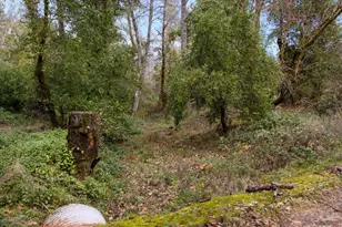 5201 Lakeshore Dr, Selma, OR 97538 - Photo 6