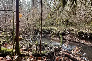 431 Red Blanket Rd, Prospect, OR 97536 - Photo 46