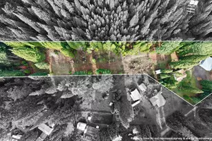 431 Red Blanket Rd, Prospect, OR 97536 - Photo 4