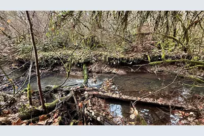 431 Red Blanket Road, Prospect, OR 97536 - Photo 6