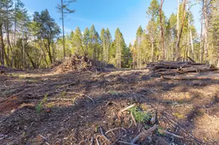 101 3 Mill Rd, Selma, OR 97538 - Photo 18