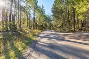 101 3 Mill Rd, Selma, OR 97538 - Photo 26