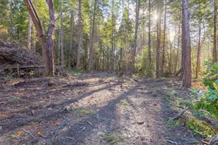 101 3 Mill Rd, Selma, OR 97538 - Photo 14