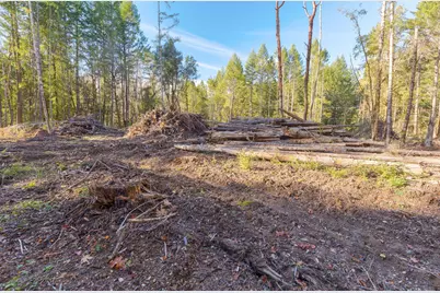 101 Three Mill Road, Selma, OR 97538 - Photo 16