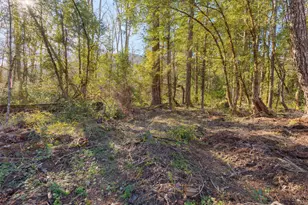 101 3 Mill Rd, Selma, OR 97538 - Photo 22