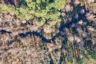 101 3 Mill Rd, Selma, OR 97538 - Photo 36