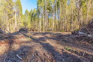 101 3 Mill Rd, Selma, OR 97538 - Photo 24