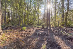 101 3 Mill Rd, Selma, OR 97538 - Photo 20