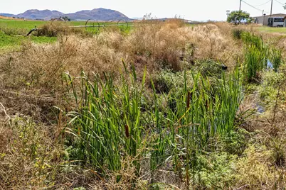 392 Del Fatti Lane, Klamath Falls, OR 97603 - Photo 60