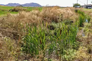 392 Del Fatti Ln, Klamath Falls, OR 97603 - Photo 60