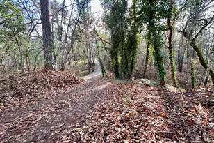 1450 Summit Loop, Grants Pass, OR 97527 - Photo 20