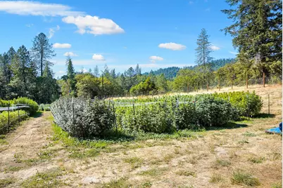 6534 Tunnel Loop Road, Grants Pass, OR 97526 - Photo 4