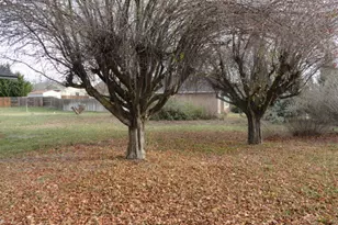 4609 Alt Ct, Klamath Falls, OR 97603 - Photo 28