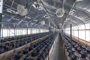 2315 Upper River Rd Loop, Grants Pass, OR 97527 - Photo 8