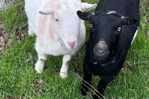 1360 Oxyoke Rd, Grants Pass, OR 97526 - Photo 56