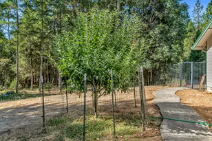 4059 Ditch Creek Rd, Rogue River, OR 97537 - Photo 40
